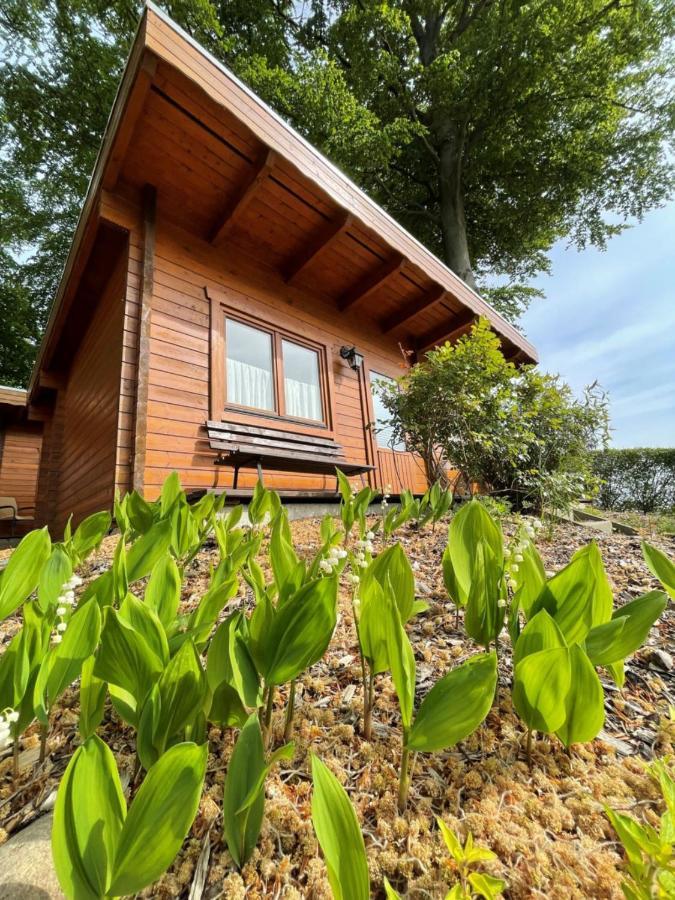 Forsthaus Langenberg 3*